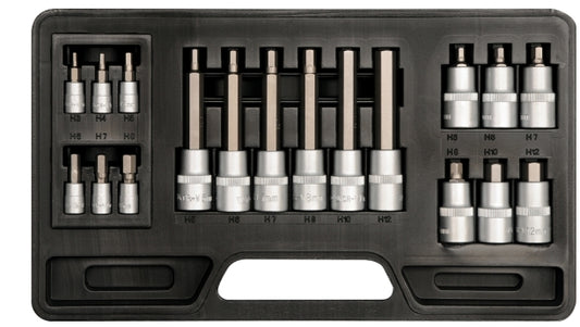 Imagen de Jgo Socket Punta Allen 1/4, 1/2  3-12M 18Pz - HT automotriz e industrial