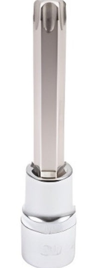 Socket Corto con Punta Torx 1/2" x T-55