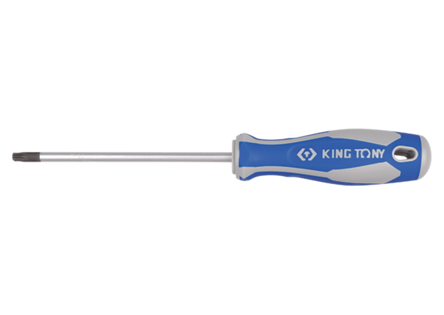 destornillador Torx T-25X5 (14272504)